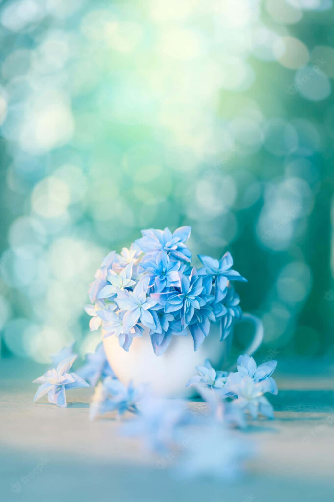 Dreamy Blue Flower Wallpaper with Bokeh Background Design