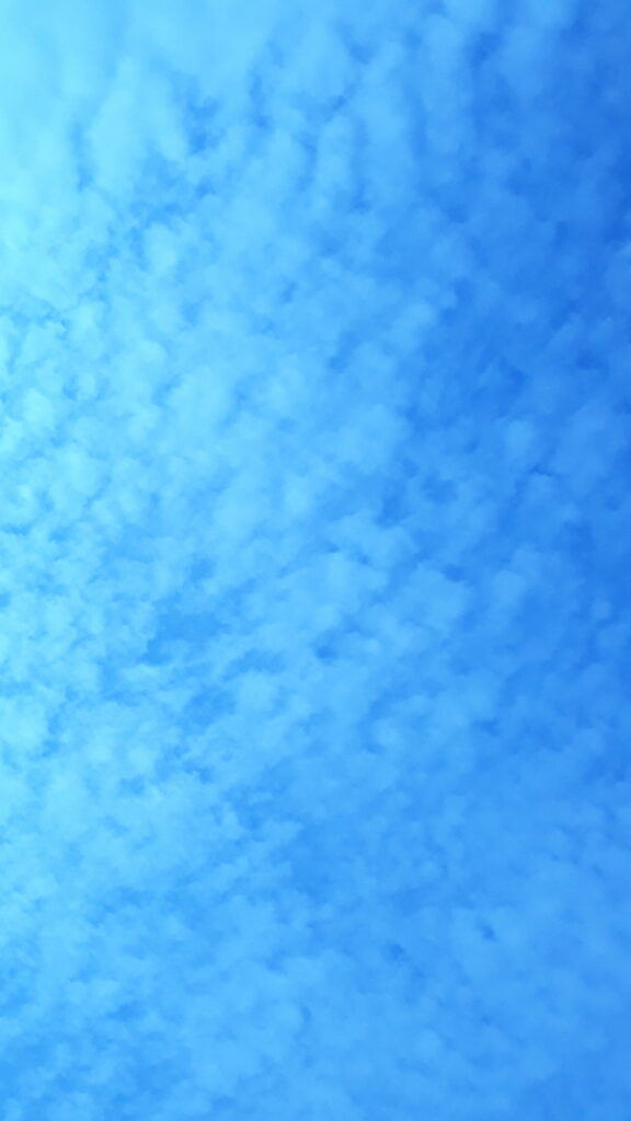 Tranquil Blue Sky Wallpaper with Soft Clouds for HD Phone Backgrounds