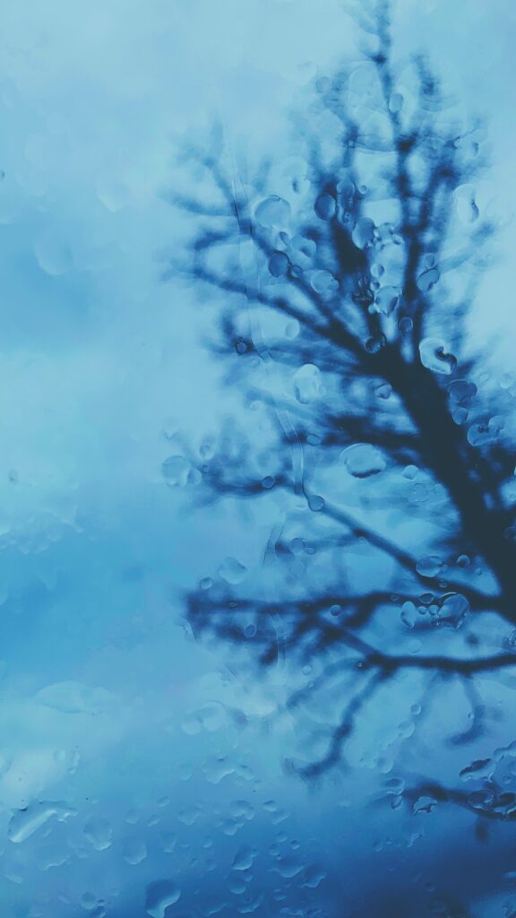 Serene Blue Wallpaper: Raindrops on Glass with Tree Silhouette