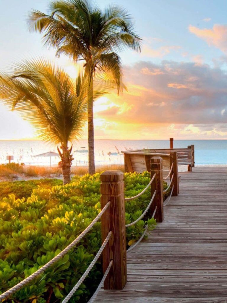 Tranquil Beach Boardwalk: Lush Greenery & Golden Sunset Views Wallpaper