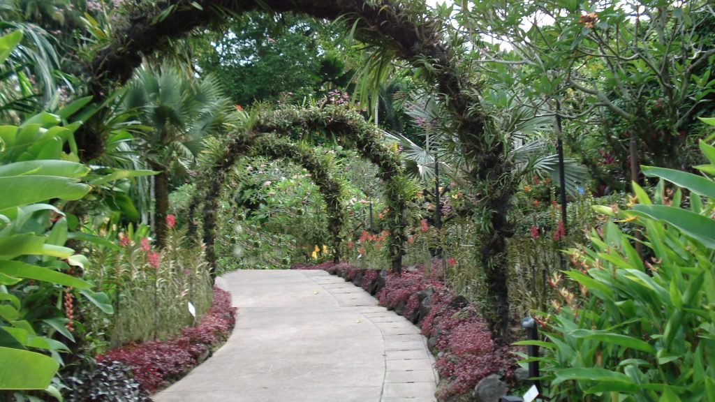 Lush garden path wallpaper with arched walkway tropical orchids vibrant greenery serenity background