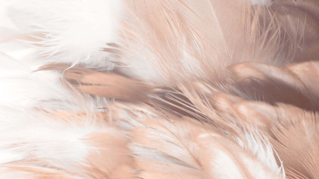 Serene Brown Pastel Wallpaper: Soothing Feather Texture Background