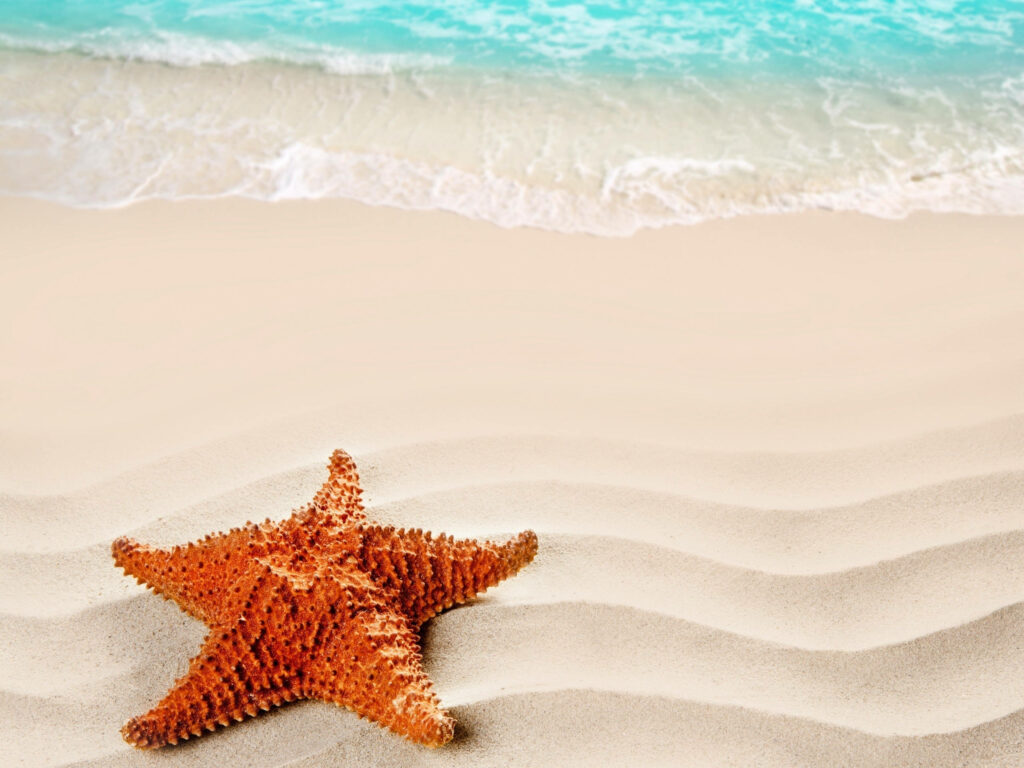 Tranquil Brown Starfish on Rippled Sand - Serene Wallpaper Background