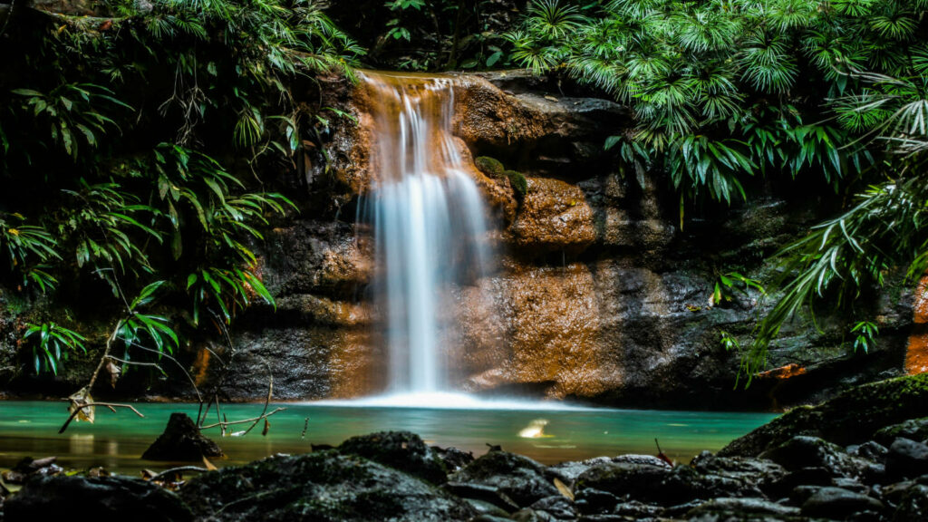 Tranquil Rainforest Wallpaper: Waterfall & Turquoise Pool in Brunei