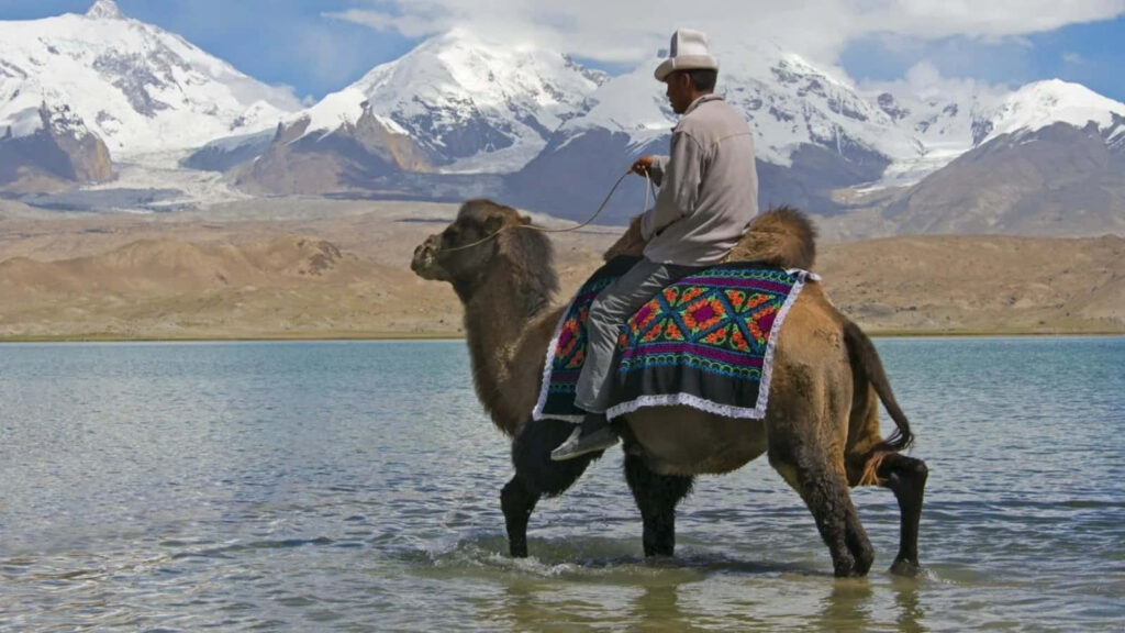 Serene Camel Ride Through Shallow Water with Snow-Capped Mountains Wallpaper
