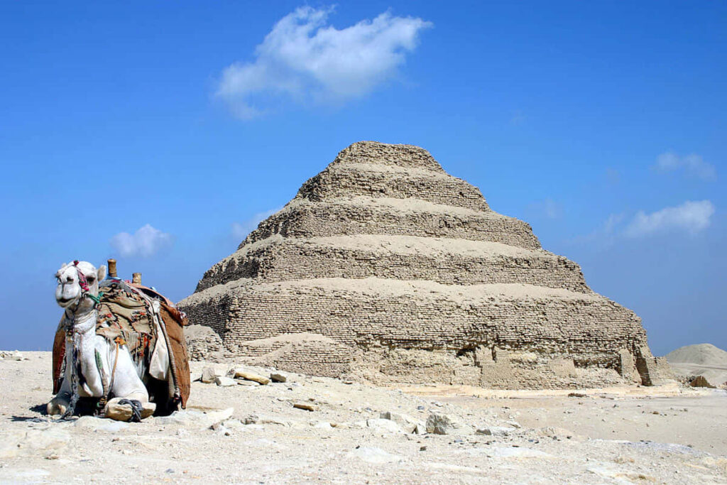 Serene Camel Near Saqqara Pyramid: Timeless History & Nature Wallpaper