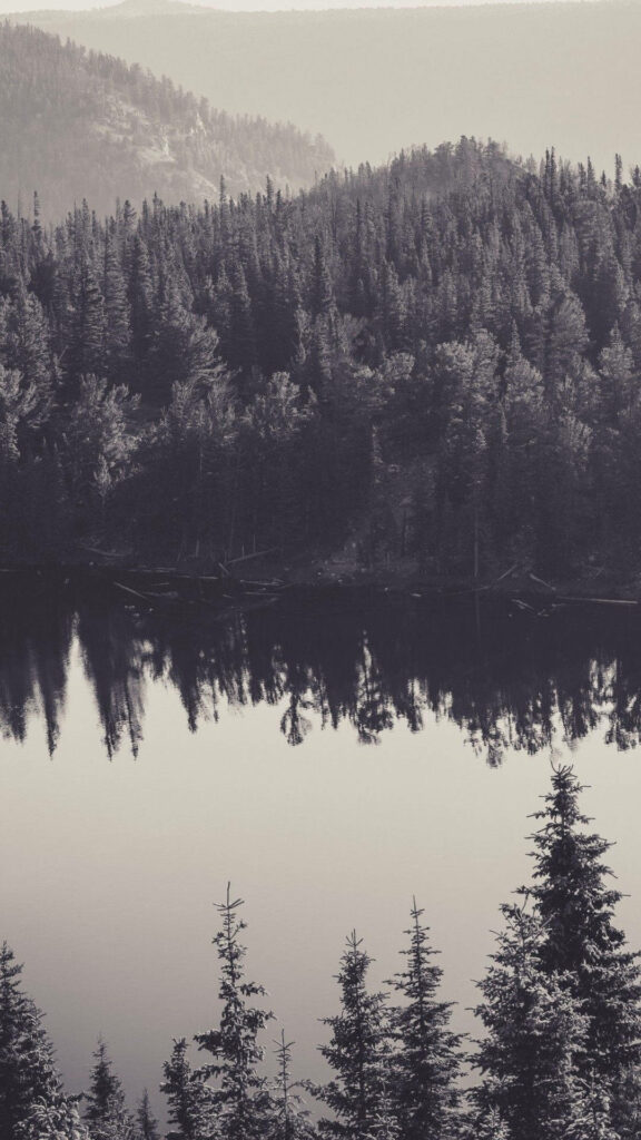 Tranquil Black and White Canadian Lake Wallpaper - Nature Background
