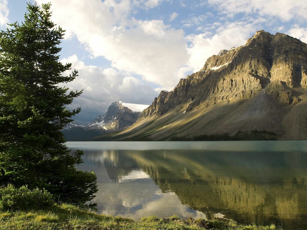 Serene Canadian mountain landscape with calm reflective lake and solitary evergreen tree wallpaper