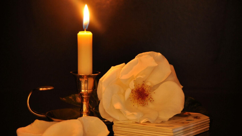 Soft glowing candle beside white flower on dark serene background elegant wallpaper ambiance