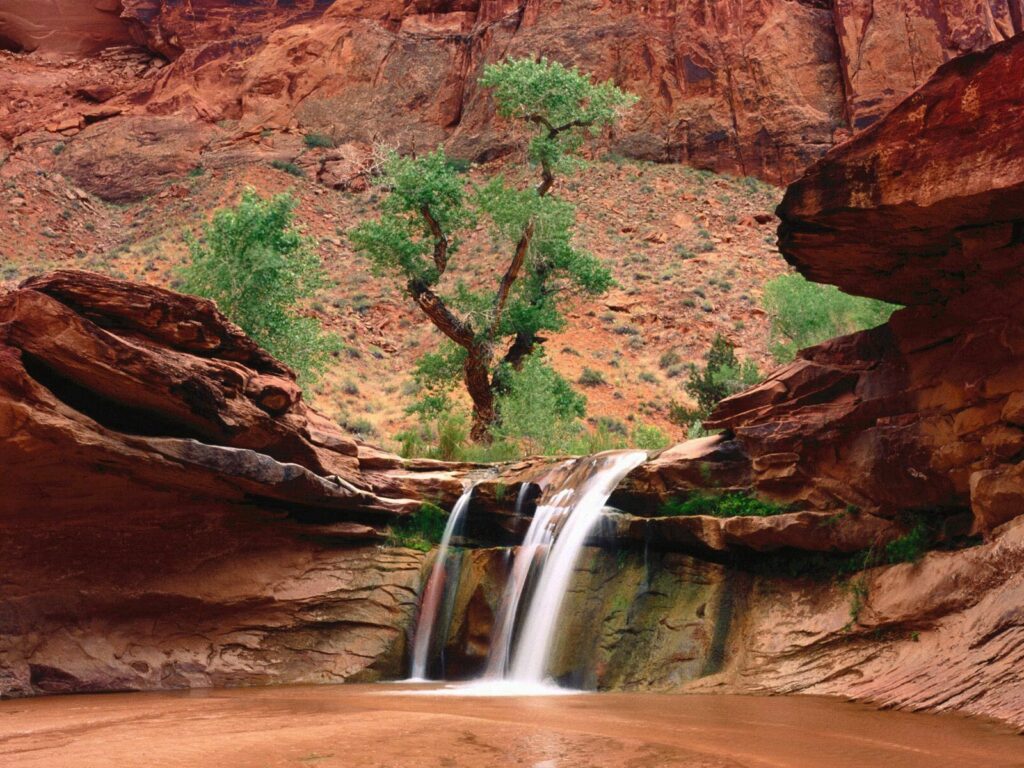 Serene canyon wallpaper with red rock formations green trees and waterfall over sandy pool