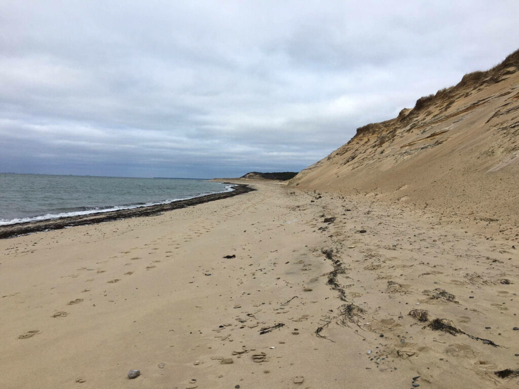 Serene Cape Cod Beach Wallpaper: Footprints on Sandy Shore
