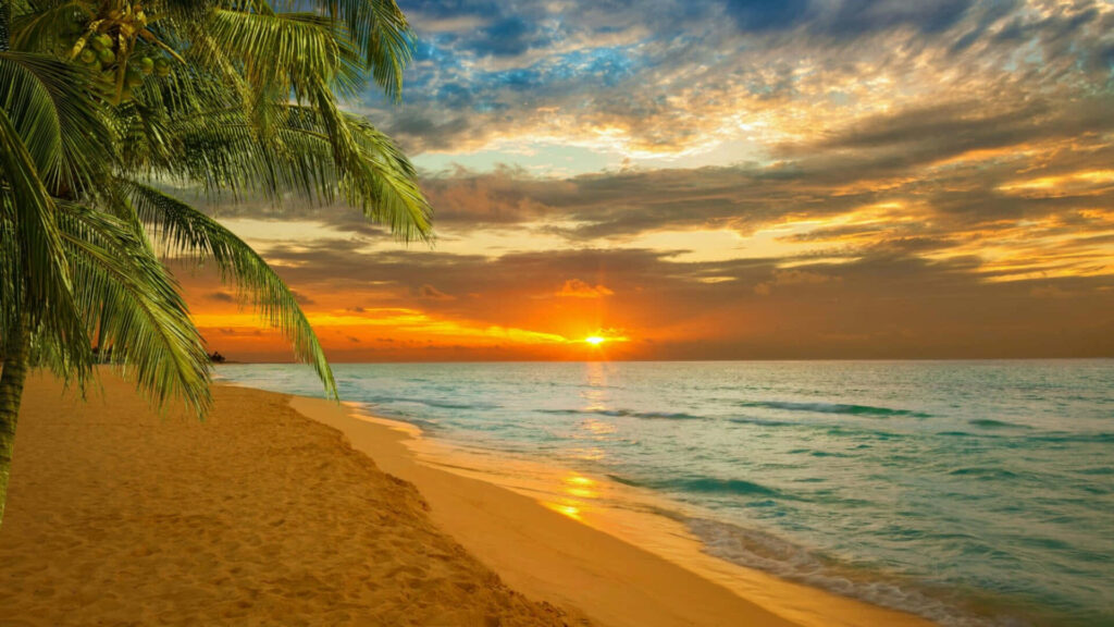Tropical Paradise: Tranquil Caribbean Beach with Sunset & Palm Trees Wallpaper
