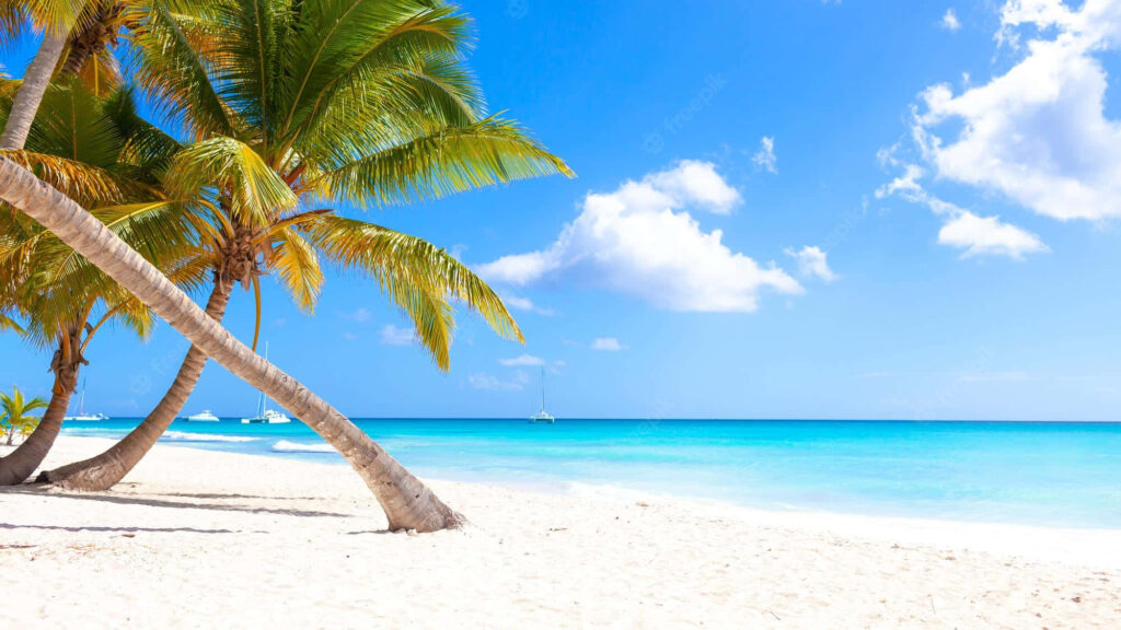 Serene Caribbean Beach Wallpaper: Turquoise Waters & Palm Trees