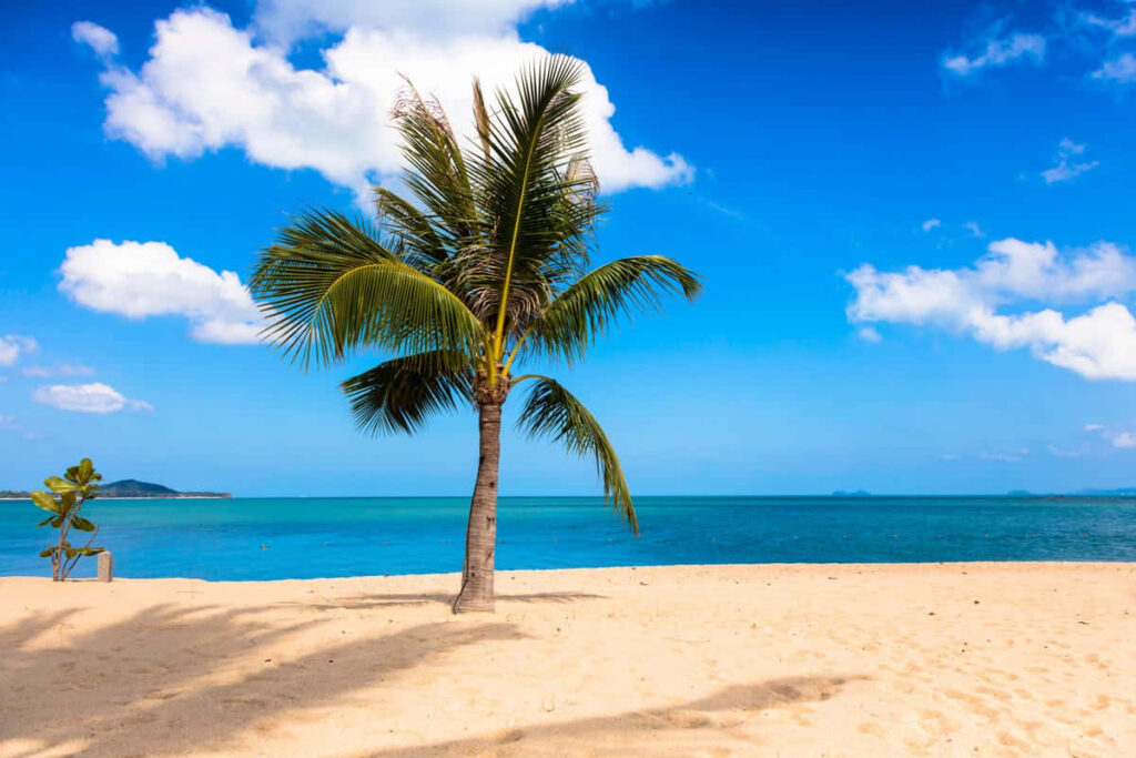 Serene Caribbean Island Escape Wallpaper - Tranquil Beach Paradise