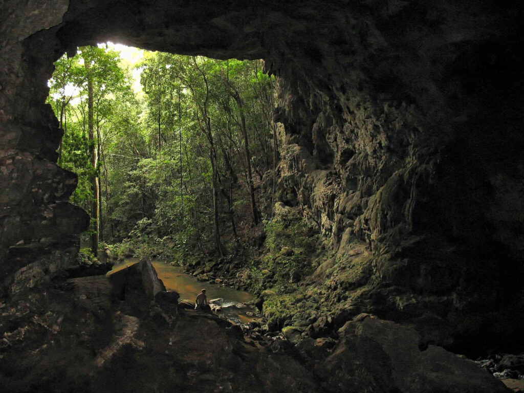 Serene Cave Scene with Sunbeam: Lush Greenery & Rugged Rocks Wallpaper