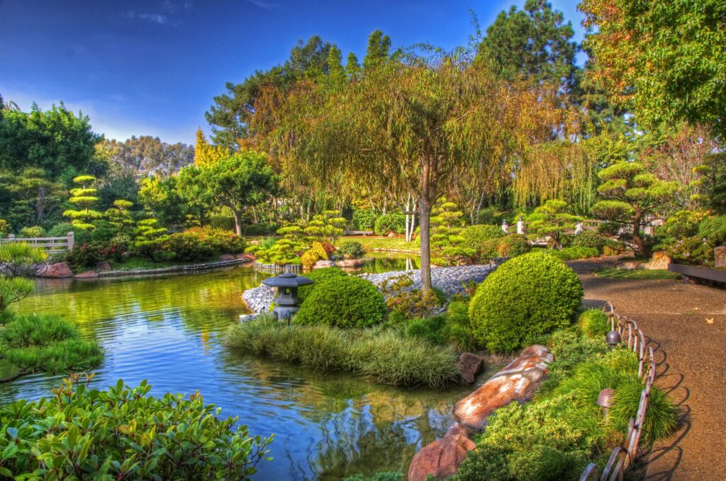 Serene Chinese garden path with lush greenery stone lantern and pond reflections under blue sky Wallpaper