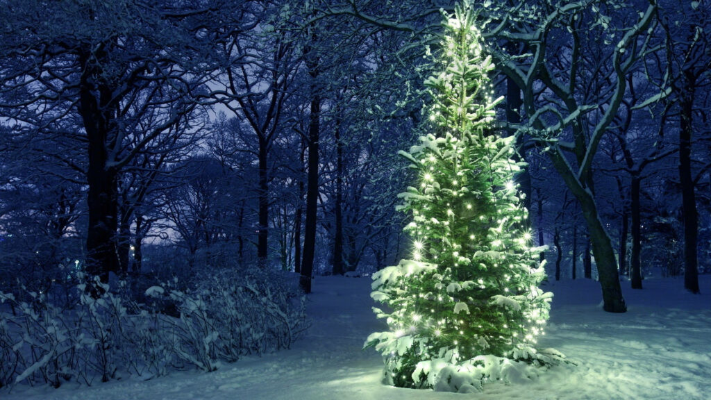 Serene Winter Wonderland: Christmas Forest with Snowy Landscape Wallpaper
