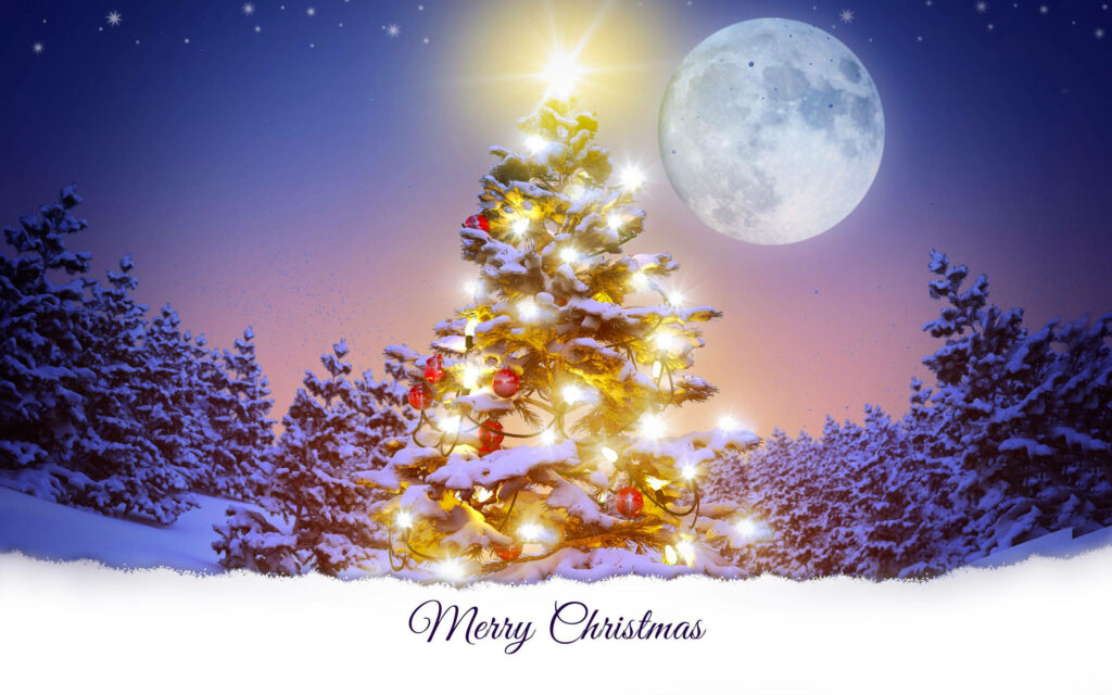 Serene Christmas Tree Glowing Under Full Moon in Snowy Forest Wallpaper