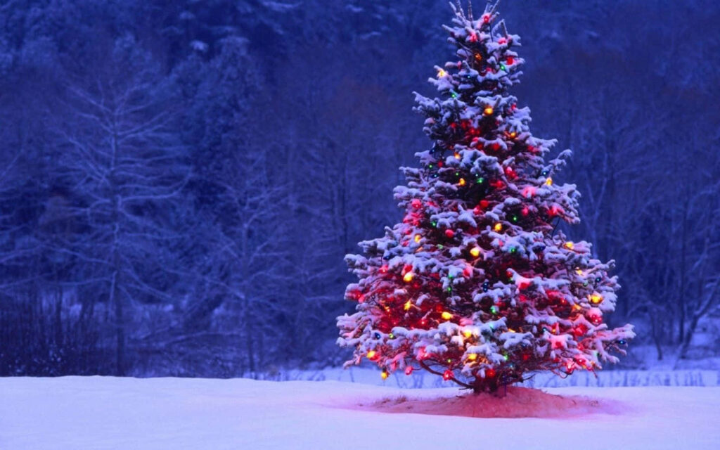 Serene Christmas Wallpaper: Snowy Tree with Vibrant Lights