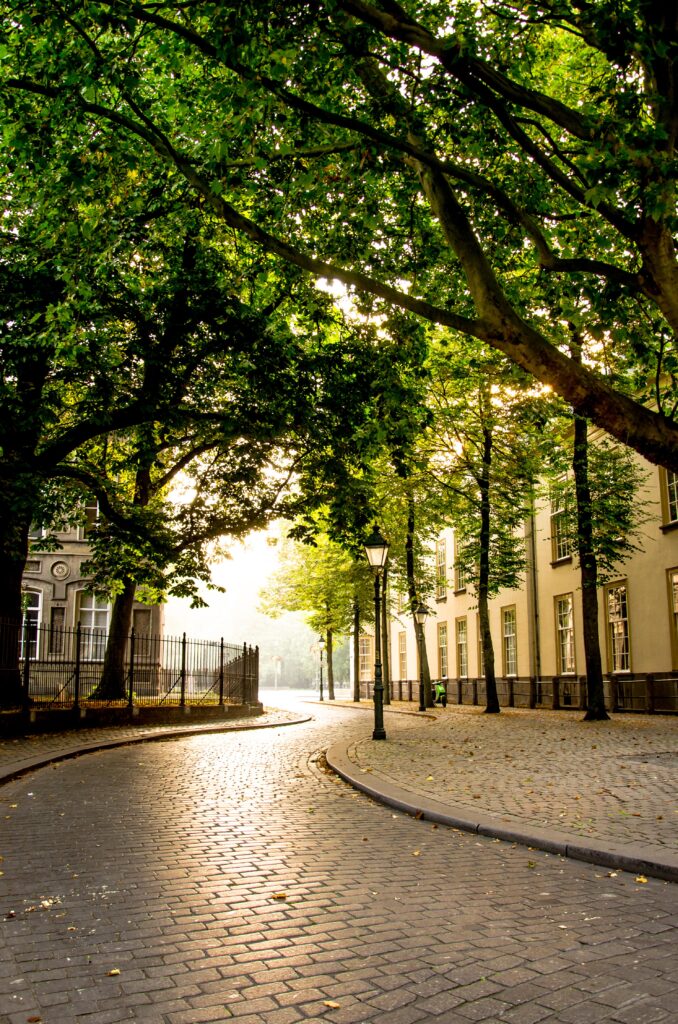 Serene City Street Wallpaper: Cobblestone Path & Warm Sunlight