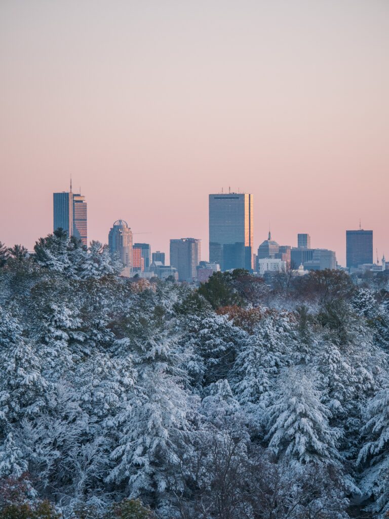 Serene Cityscape Wallpaper: Snowy Trees & Soft Winter Hues