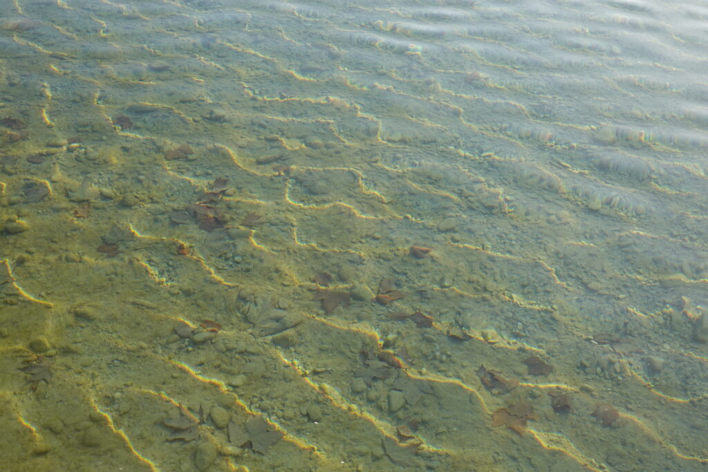 Calm clear water with gentle ripples over rocky bottom sunlight glimmers serene wallpaper background