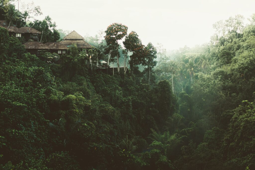 Traditional buildings on lush green cliff surrounded by dense trees misty serene nature wallpaper