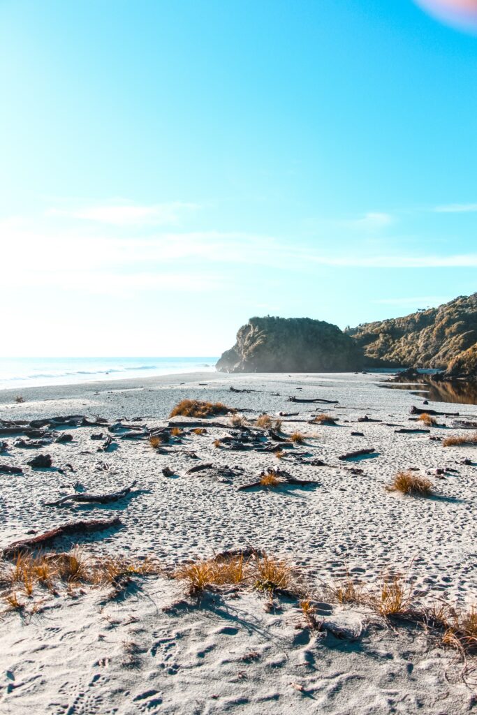 Sunlit rocky beach with driftwood cliffs dune grass calm sea and bright blue sky wallpaper