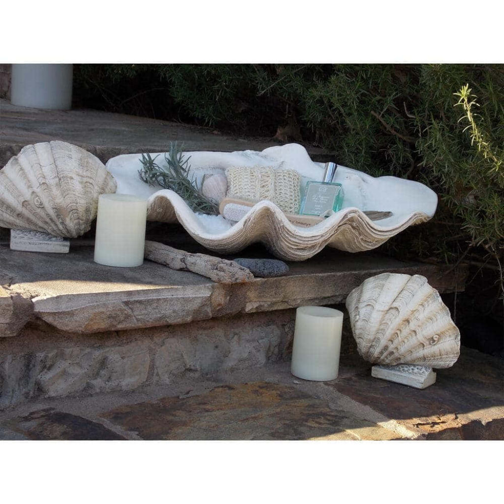 Coastal wallpaper with textured clam shells candles spa items greenery serene beach ambiance