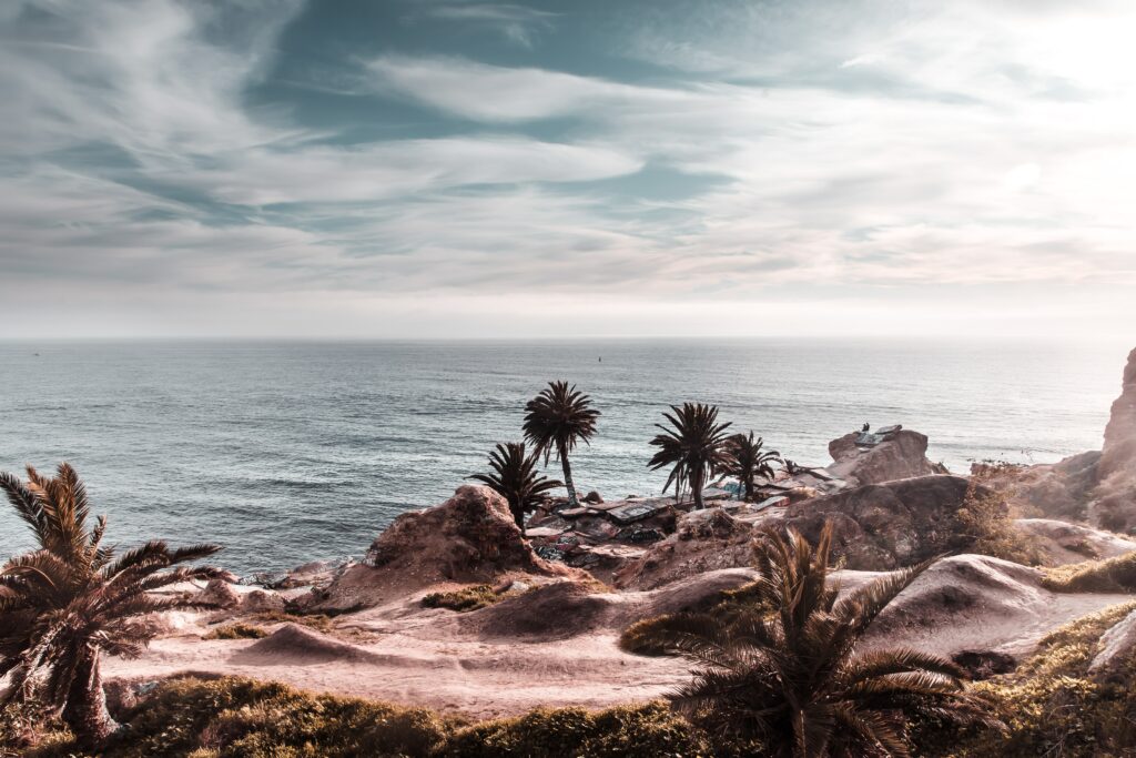 Serene coastal wallpaper with rugged cliffs palm trees and calm ocean under soft cloudy sky