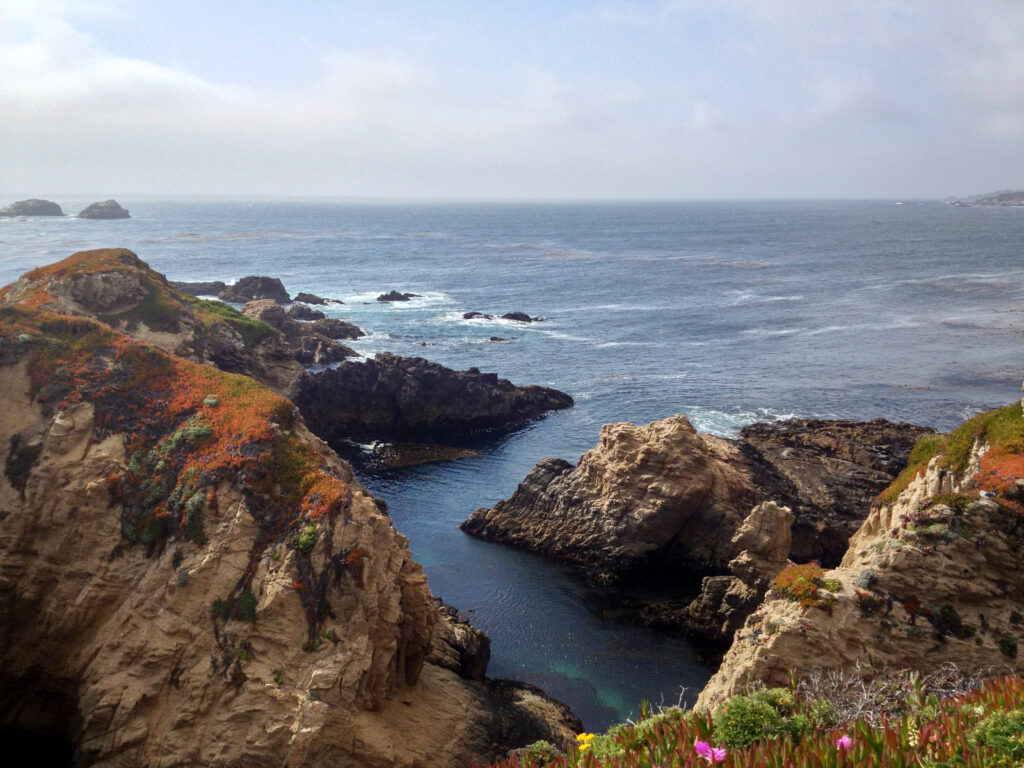 Serene coastal cliffs with rocky formations and vibrant vegetation overlooking calm deep blue sea wallpaper