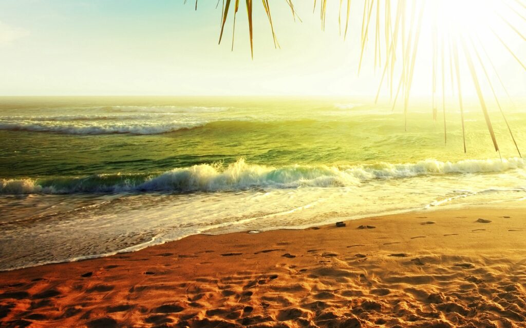 Serene coastal wallpaper with golden sunlight gentle waves sandy shore palm leaves ocean view