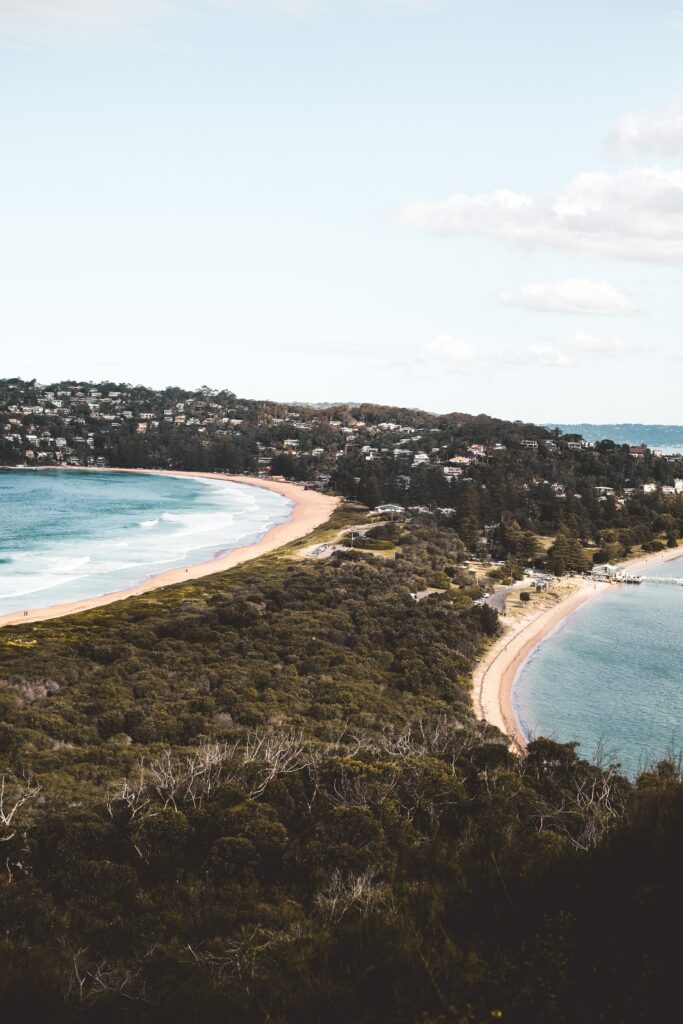 Coastal landscape with green forest sandy beaches serene sea and small buildings under blue sky wallpaper