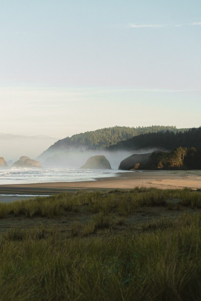 Serene coastal landscape with grassy hills stones foggy shoreline cliffs and calm ocean wallpaper