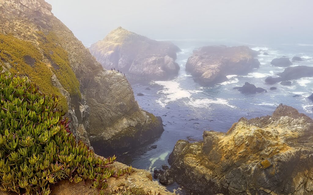 Rugged coastal mountains and rocks meet calm sea with birds soaring over vibrant greenery wallpaper
