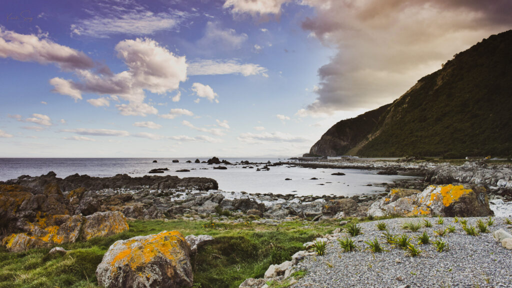 Serene coastal landscape with rugged mossy stones sea and forested hillside under warm sunlight Wallpaper