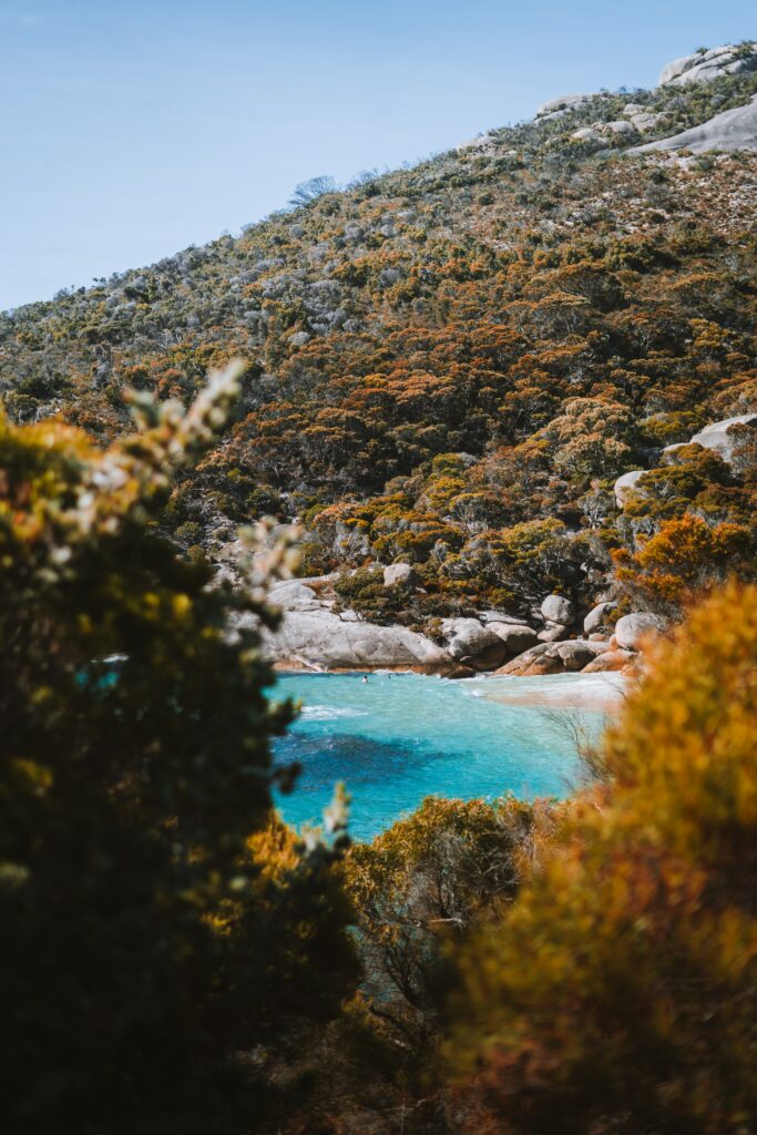 Serene coastal wallpaper with turquoise sea rugged stones lush bushes and sunlit forested hill background