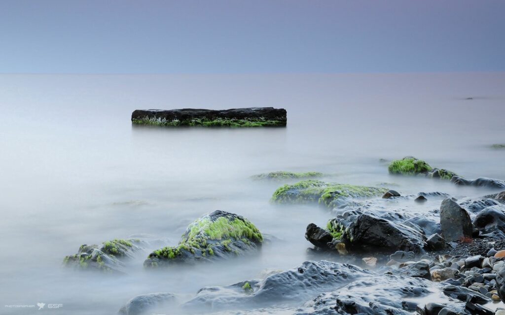 Serene coastal scene with mossy smooth rocks foggy calm water peaceful misty wallpaper background