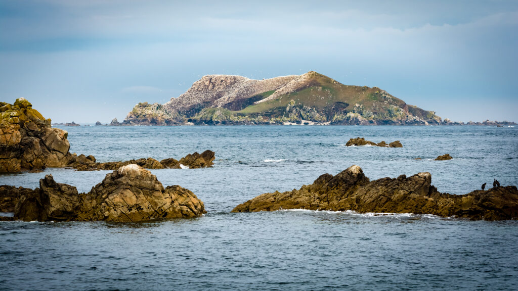 Tranquil seascape wallpaper with rugged rocks deep blue waters and grassy coastal hill under sky