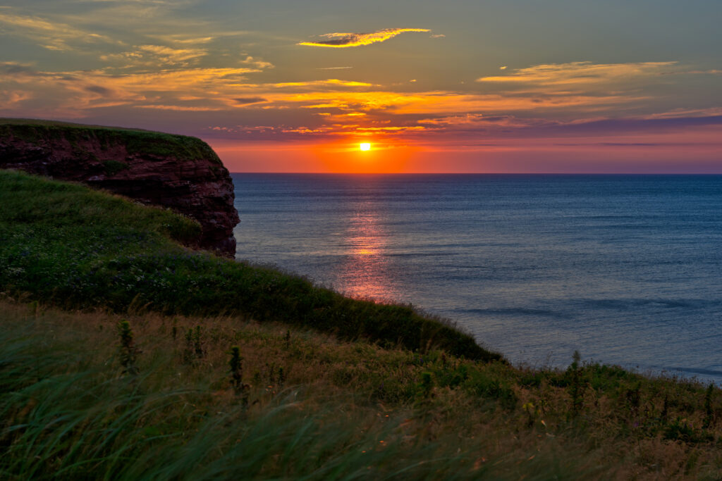 Sunset coastal wallpaper with golden light calm sea rugged cliffs and lush green grass foreground