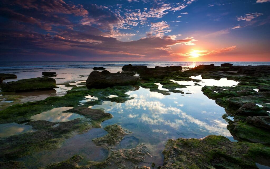 Serene coastal sunset with glowing tide pools mossy rocks and dramatic golden blue sky wallpaper