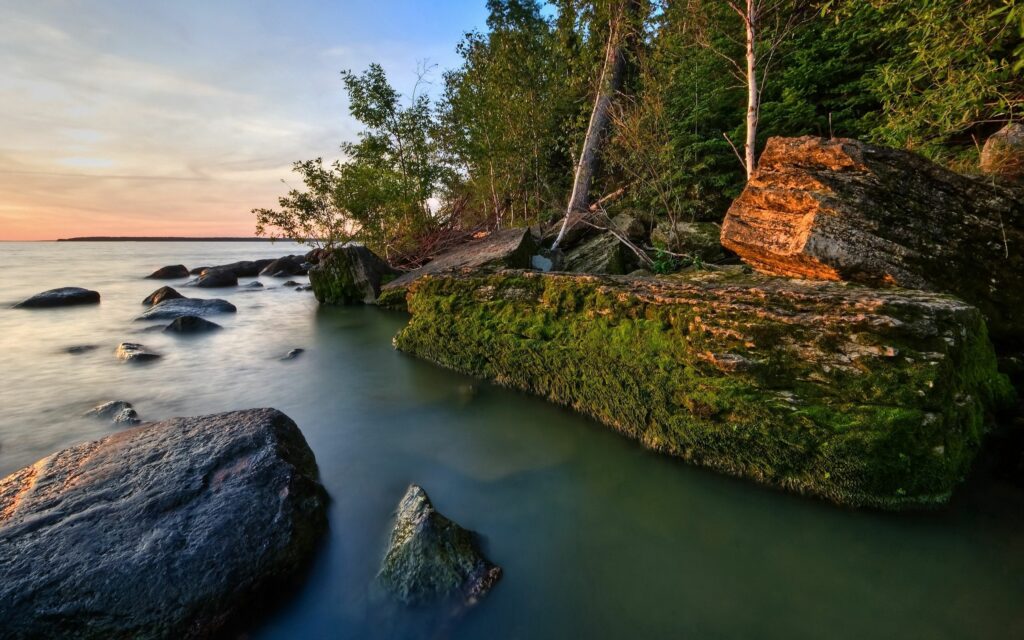 Serene coastal sunset with mossy rocks calm water and lush green trees wallpaper background