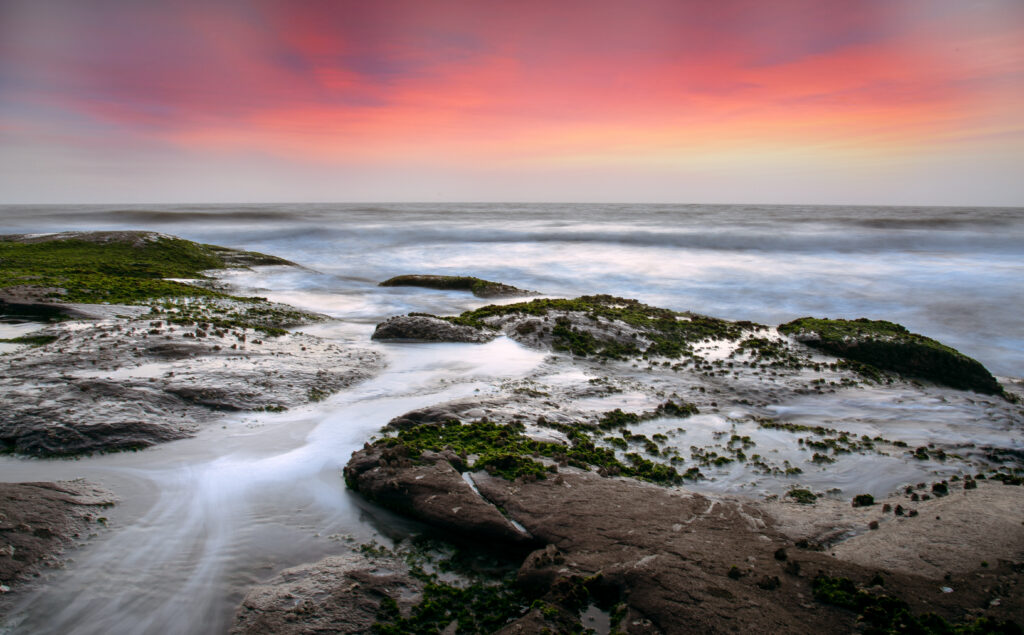 Serene coastal sunset with mossy rocks and gentle waves in pink and orange hues wallpaper