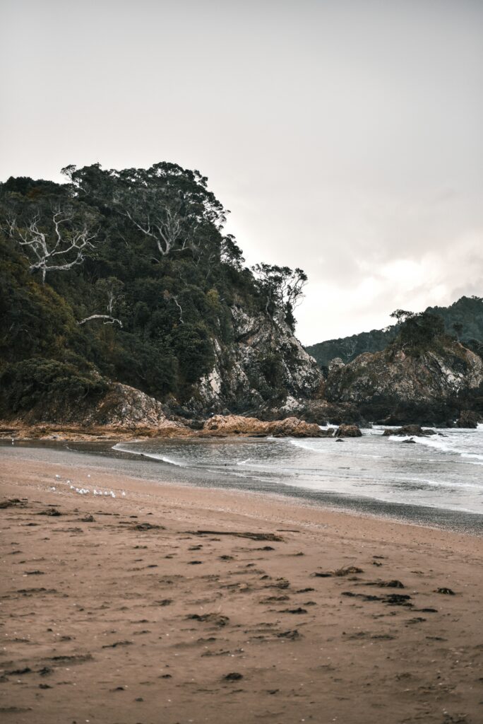 Serene coastal wallpaper with rugged rocks golden sand calm shoreline and lush green cliffs