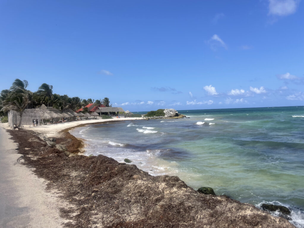 Turquoise ocean waves on sandy beach with palm trees and rustic buildings under blue sky wallpaper
