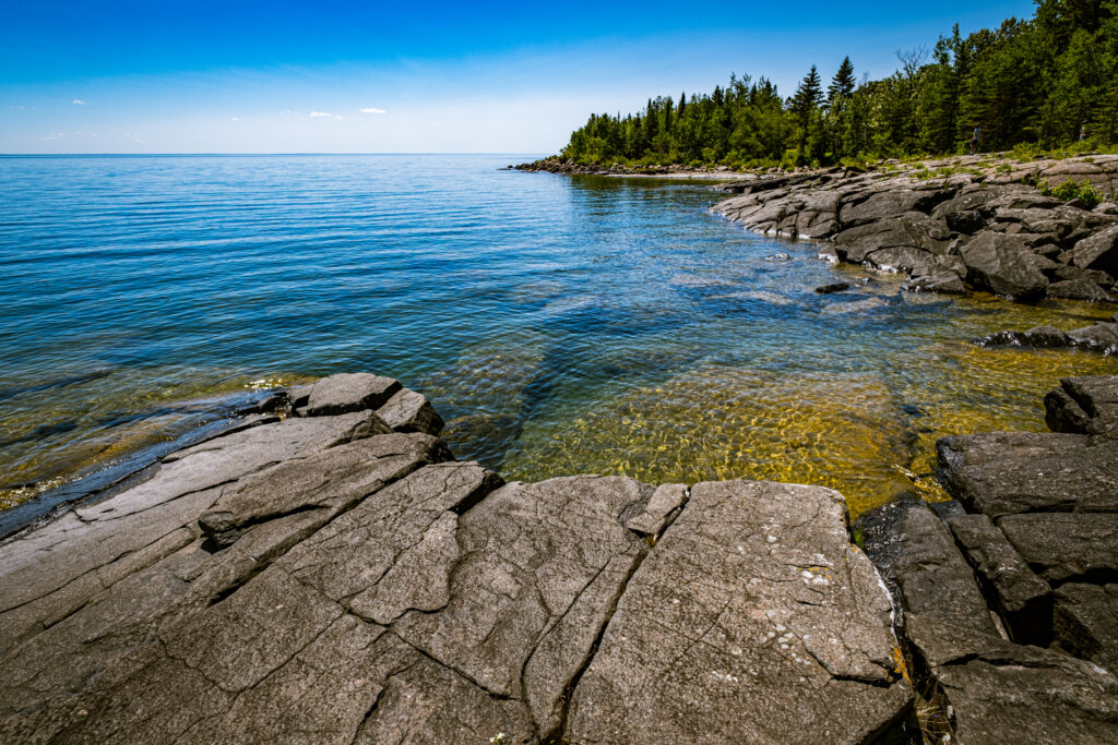 Serene coastal wallpaper with calm sea ripples gray stones green trees under clear blue sky