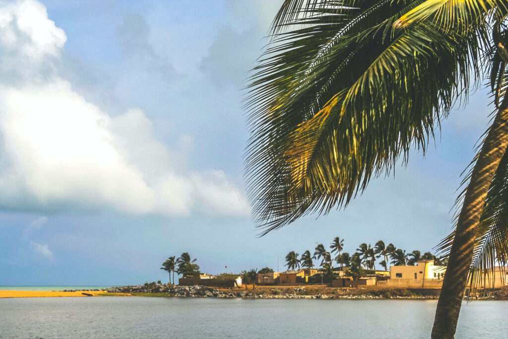 Tranquil Coastal Wallpaper: Coconut Tree & Calm Waters Inspired by Togo