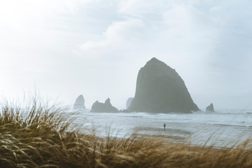 Serene coastal wallpaper with dramatic sea rocks gentle waves and solitary figure silhouette