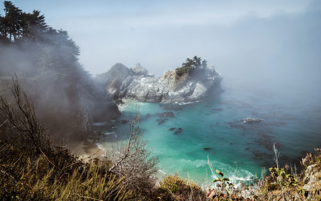 Turquoise sea with rugged rocks and windswept trees in misty fog coastal landscape wallpaper