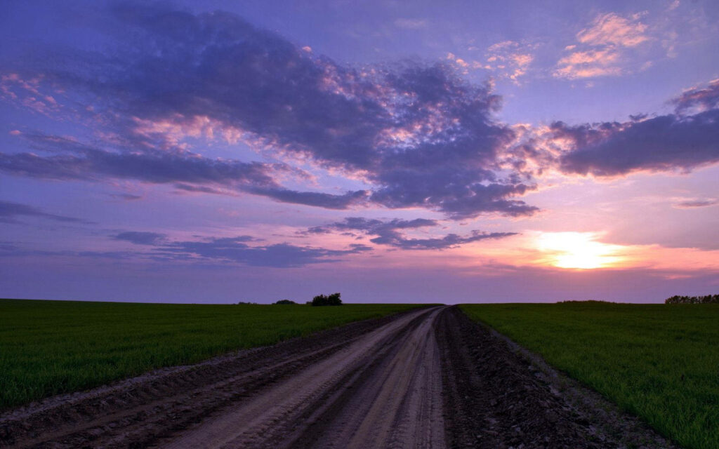 Basking in Tranquil Serenity: Embrace the Serene Countryside on a Peaceful Evening Walk Wallpaper
